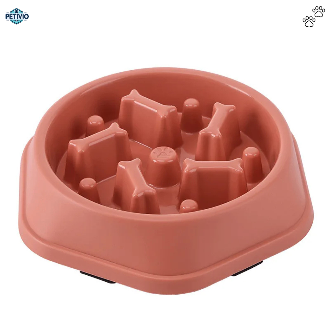 Gamelle Anti-Glouton – Pour une digestion saine et des repas apaisés