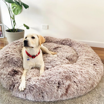 Lit Apaisant pour Chien