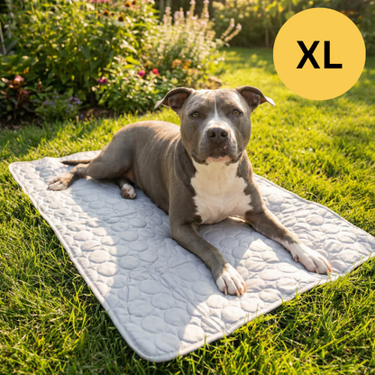 Tapis rafraîchissant pour l’été | Offre 1+1