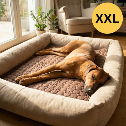 Tapis rafraîchissant pour l’été | Offre 1+1