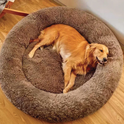 Lit Apaisant pour Chien