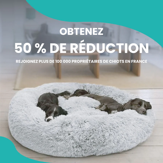 Lit Apaisant pour Chien