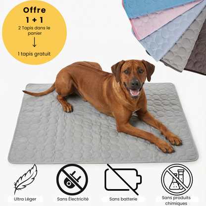 Tapis rafraîchissant pour l’été | Offre 1+1