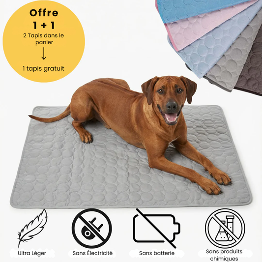 Tapis rafraîchissant pour l’été | Offre 1+1