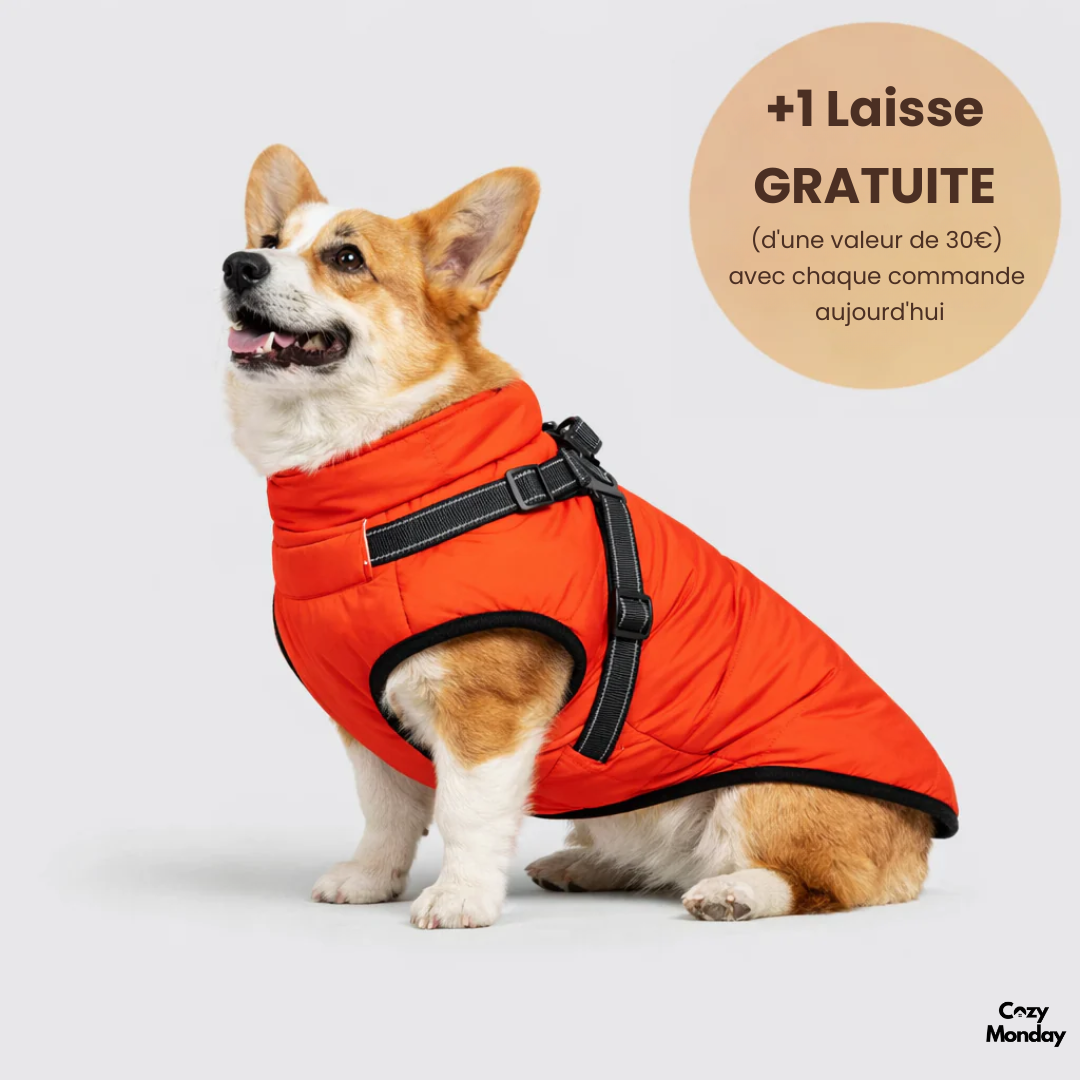 CozyMonday Animal™ Veste d'hiver 3 en 1 + Laisse OFFERTE