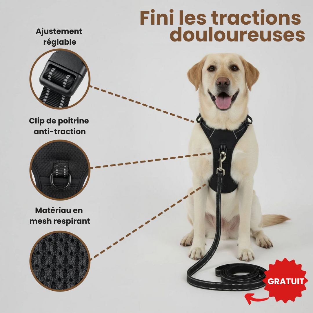 FurGuide™ Harnais anti-traction