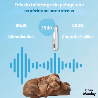 PawCare Pro™ – Soin des pattes sans douleur en quelques secondes