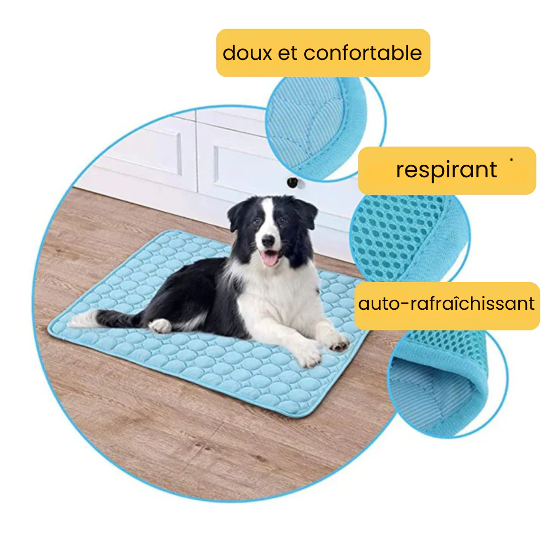 Tapis rafraîchissant pour l’été | Offre 1+1