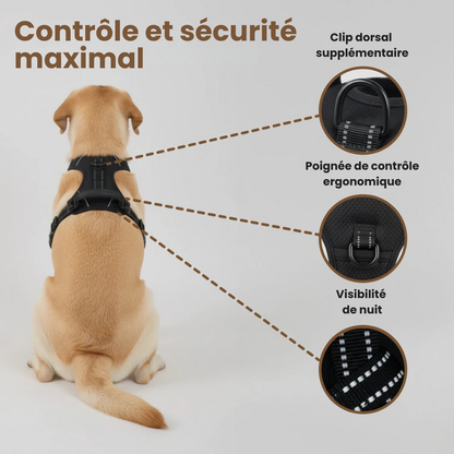 FurGuide™ Harnais anti-traction