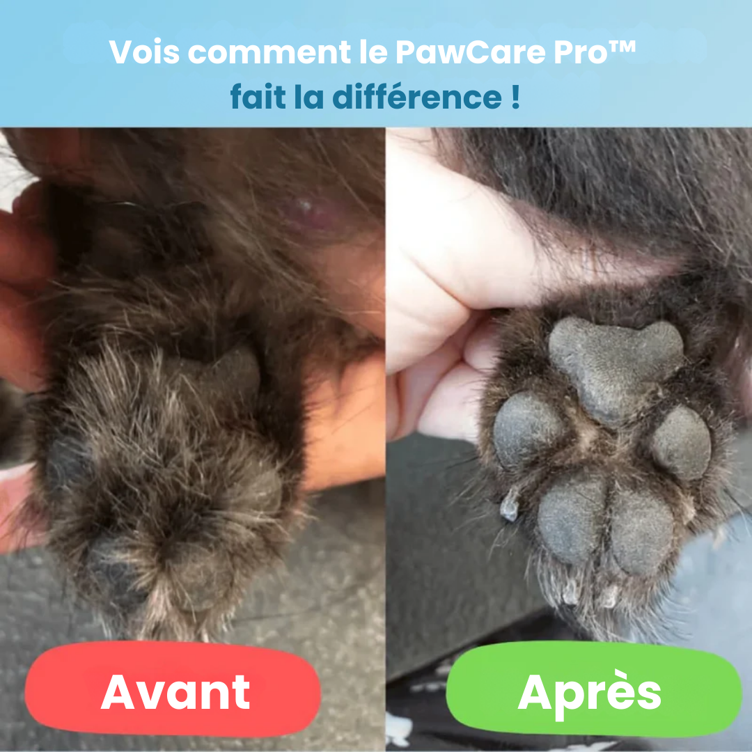 PawCare Pro™ – Soin des pattes sans douleur en quelques secondes
