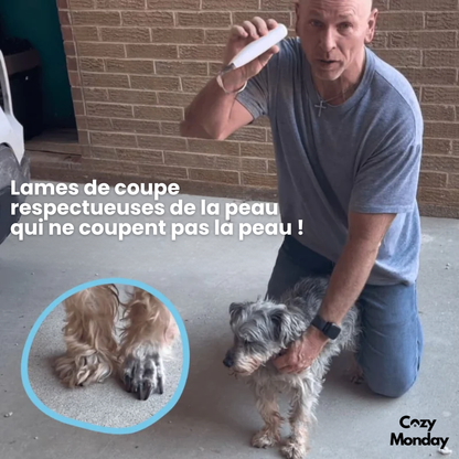 PawCare Pro™ – Soin des pattes sans douleur en quelques secondes