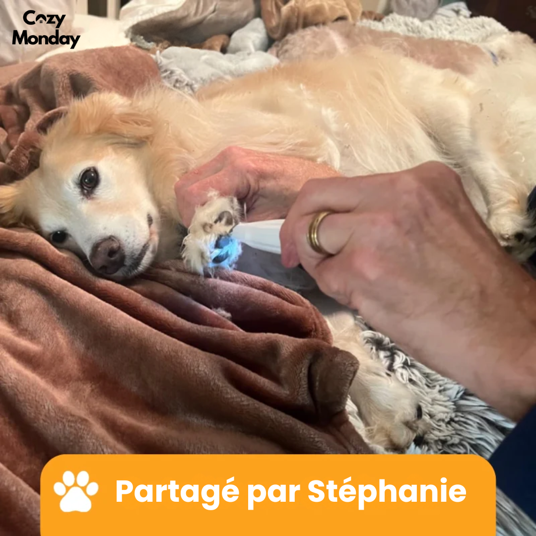 PawCare Pro™ – Soin des pattes sans douleur en quelques secondes