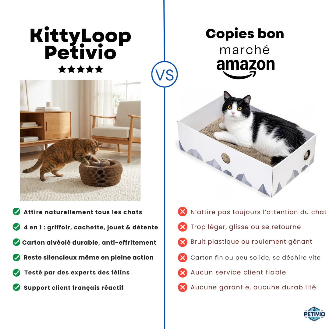 KittyLoop Petivio | Griffoir pour chat interactif