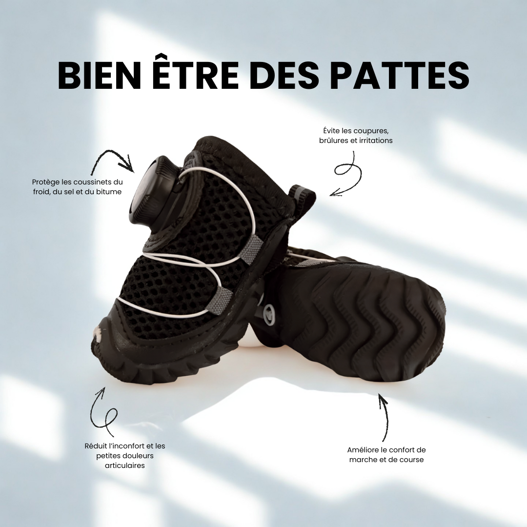 CozyRun Chaussures Chaudes et Confortables pour Chien