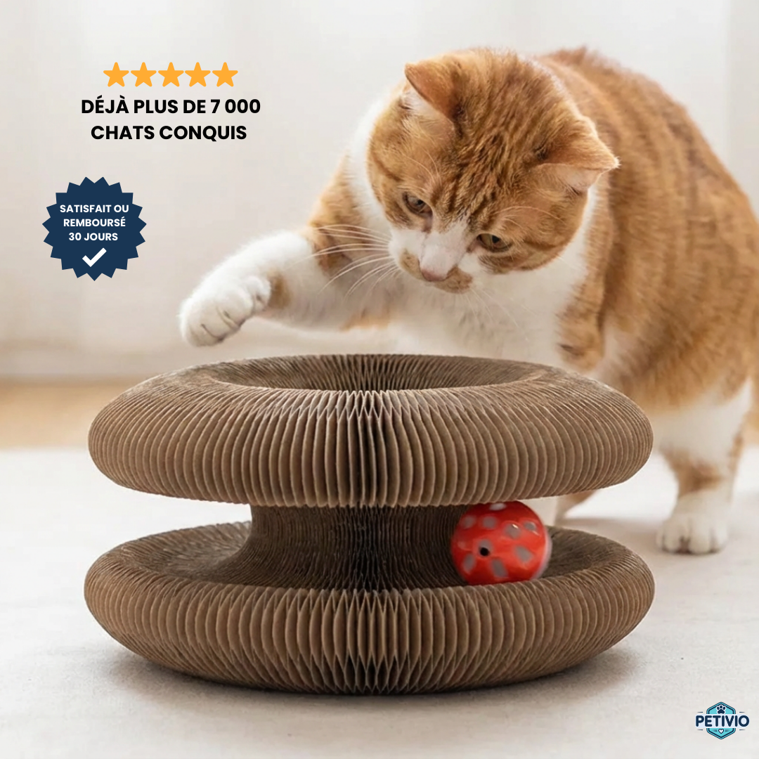 KittyLoop Petivio | Griffoir pour chat interactif