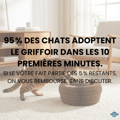 KittyLoop Petivio | Griffoir pour chat interactif