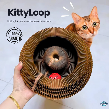 KittyLoop Petivio | Griffoir pour chat interactif