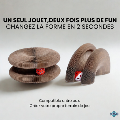 KittyLoop Petivio | Griffoir pour chat interactif