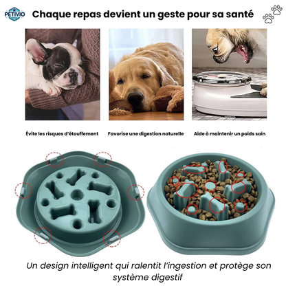 Gamelle Anti-Glouton – Pour une digestion saine et des repas apaisés