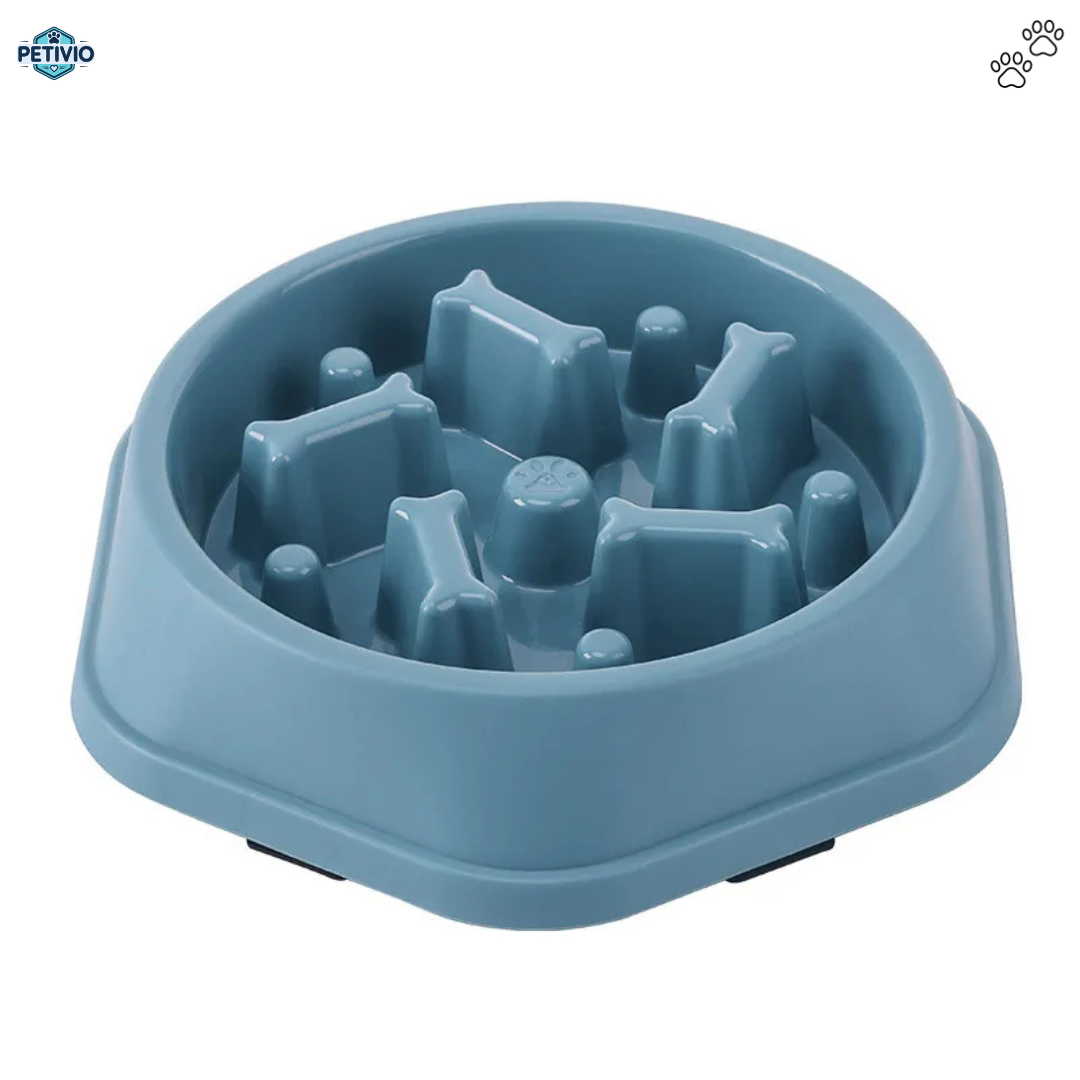 Gamelle Anti-Glouton – Pour une digestion saine et des repas apaisés