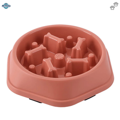 Gamelle Anti-Glouton – Pour une digestion saine et des repas apaisés