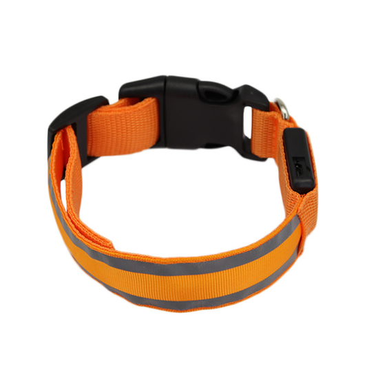 Collier lumineux Furguide™