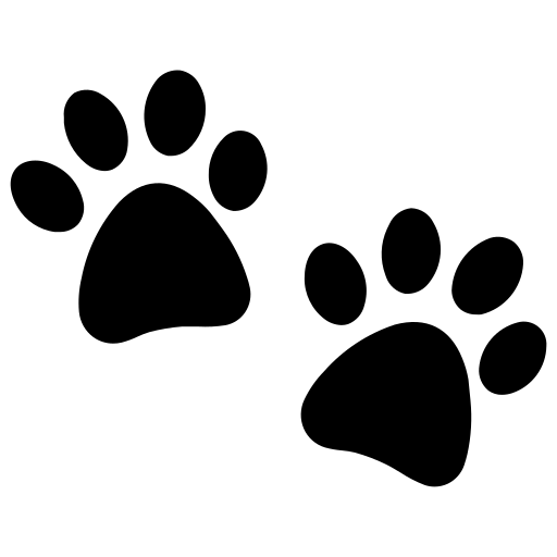 FallBack Text for a file